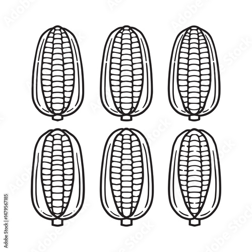 Detailed Line Art Representation of Corn Kernels in Vector Style