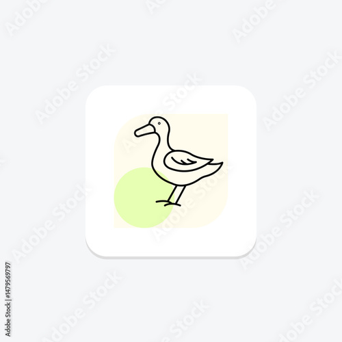 Duck, vector, pixel perfect, illustrator file