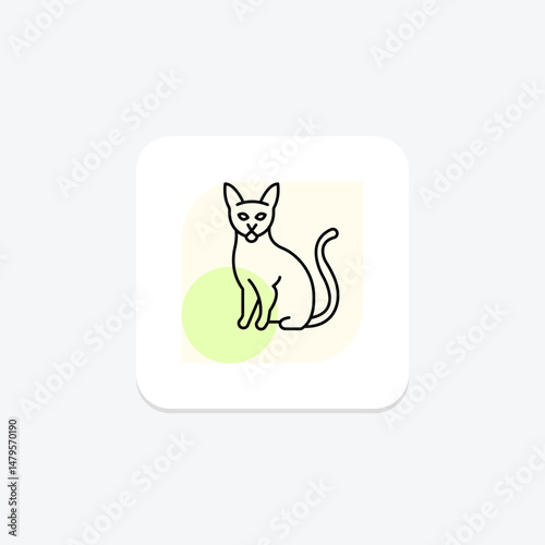 Abyssinian Cat, vector, pixel perfect, illustrator file