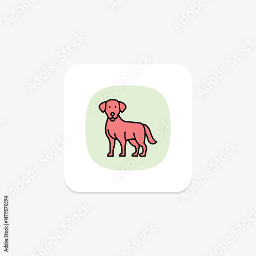 Labrador Retriever, vector, pixel perfect, illustrator file