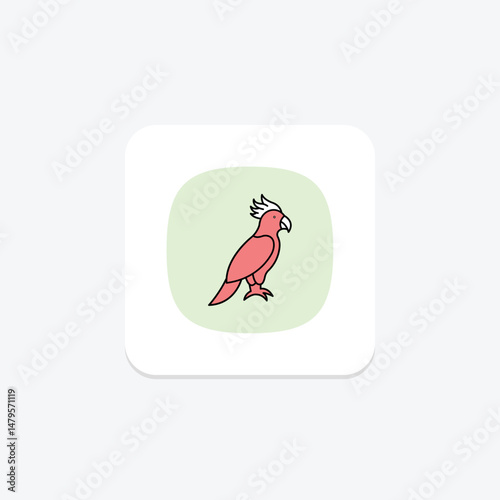 Cockatoo, vector, pixel perfect, illustrator file