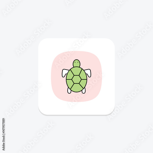 Tortoise, vector, pixel perfect, illustrator file