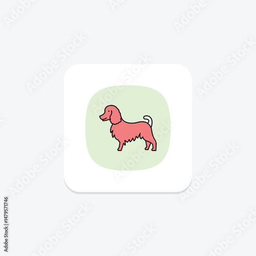 Collie, vector, pixel perfect, illustrator file
