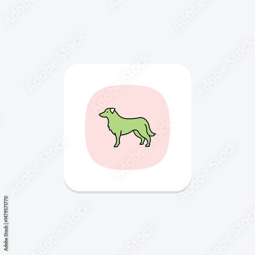 Border Collie, vector, pixel perfect, illustrator file