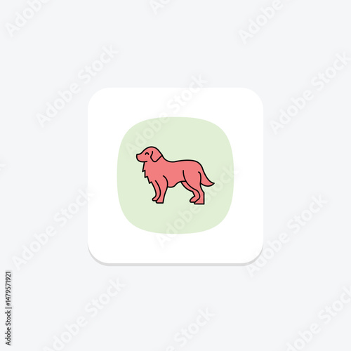 Bernese Mountain Dog, vector, pixel perfect, illustrator file