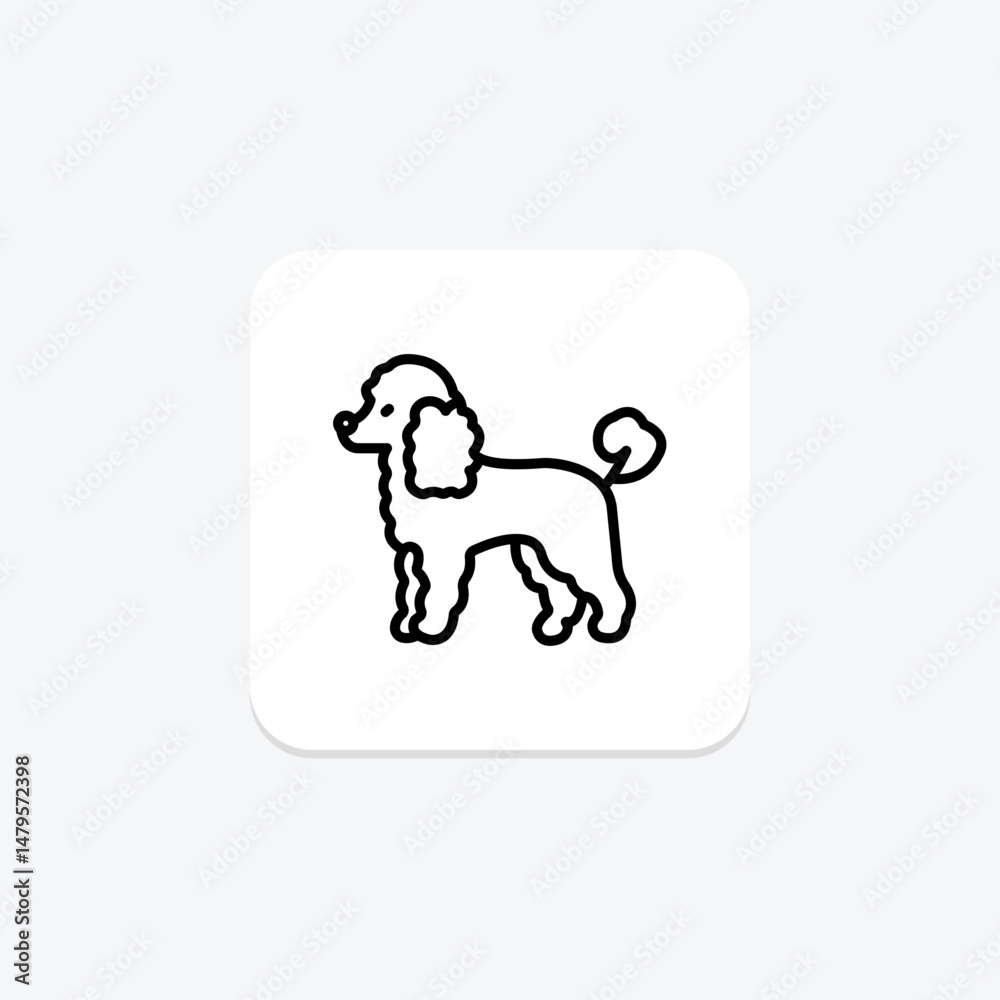 Fototapeta premium Poodle, vector, pixel perfect, illustrator file