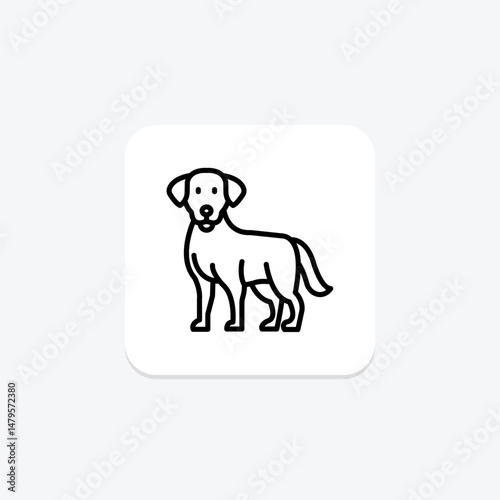 Labrador Retriever, vector, pixel perfect, illustrator file