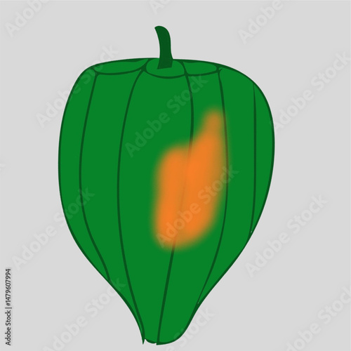 acorn squash cartoon illustration useful for projects lifestyle healthy nutrition vegetable.eps