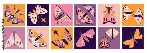 Square icons with various moths, hawkmoths and night butterflies. Nocturnal insect collection. Ethereal modern vector illustration  for esoteric designs, hand drawn, flat style