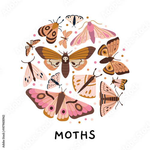 Circle composition with various moths, hawkmoths and night butterflies in pink brown palette on white background. Nocturnal insect collection. Modern vector illustration, hand drawn, flat design.
