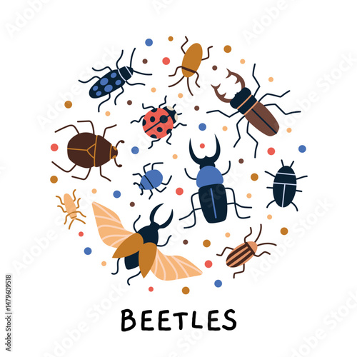 Circle composition with various insects bugs like stag beetle, ladybug, dung and scarab. Design for nature themes, kids decor and joyful summer art. Modern vector illustration, hand drawn, flat