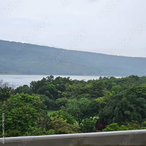 Cloudy Sky Over Forest Landscape

