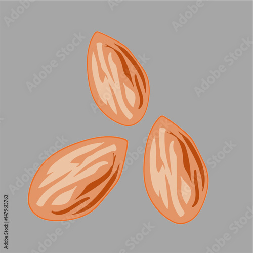 vector illustraion of almonds cartoon  almond snack healthy snack meal.eps