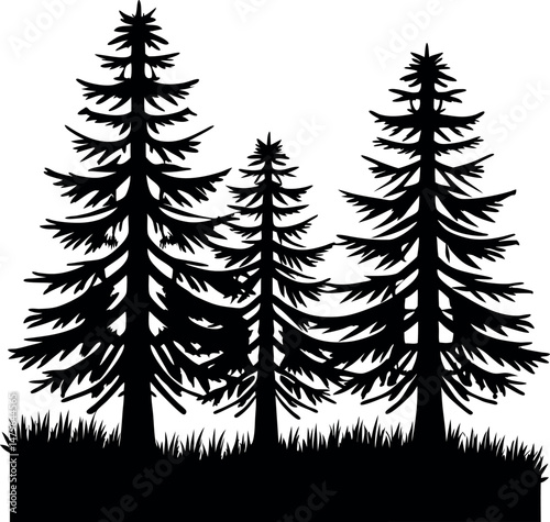 Black vector silhouettes of natural pine and fir trees in a woodland setting.