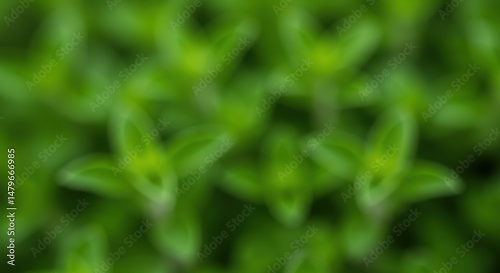 Fototapeta premium Soft focus greenery showing vibrant abstract organic shapes creating a soothing botanical pattern