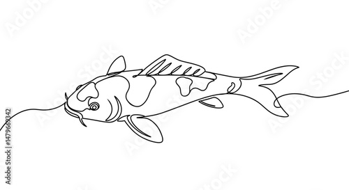 Koi fish illustration in minimalist line art style  
