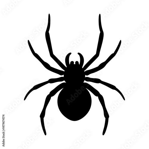 spider animal black silhouette icon - designs for jungle animals spider Safaris, wildlife, rainforest, vector on a white transparent.