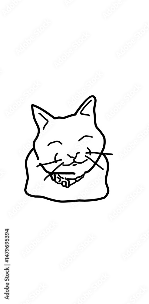 Obraz premium smiling cat meme