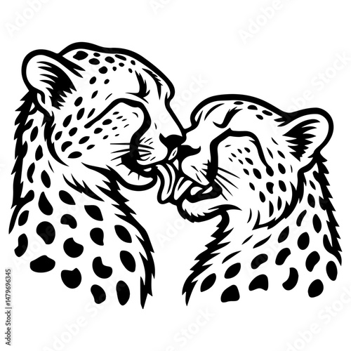 Two cheetahs nuzzling and licking each other, black and white vector illustration showing affection and animal love