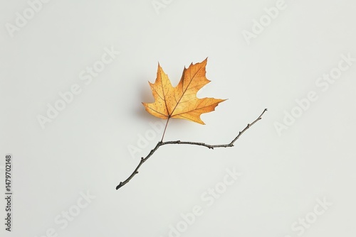 A single autumn leaf rests delicately on a bare twig against a plain background, embodying simplicity and natural decay.