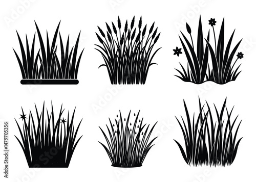Set of grass silhouette vector illustration on white background. 