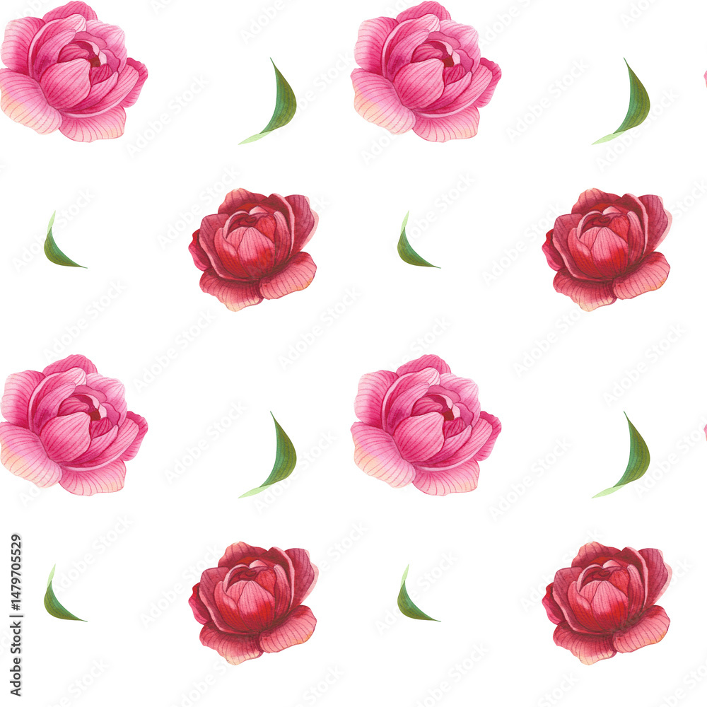 Fototapeta premium Set of flowers.Seamless pattern. Leaves, peonies, rose. Floral watercolor illustration for wedding invitations, greeting cards, printing design. A spring and summer set of flowers and plants.