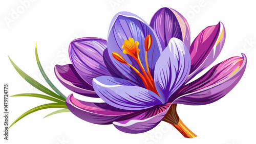 portrait The delicate saffron flower, Crocus sativus, blooms with vibrant purple petals and vivid red stigmas that capture the essence of luxury and tradition. Each flower is a masterpiece of nature'