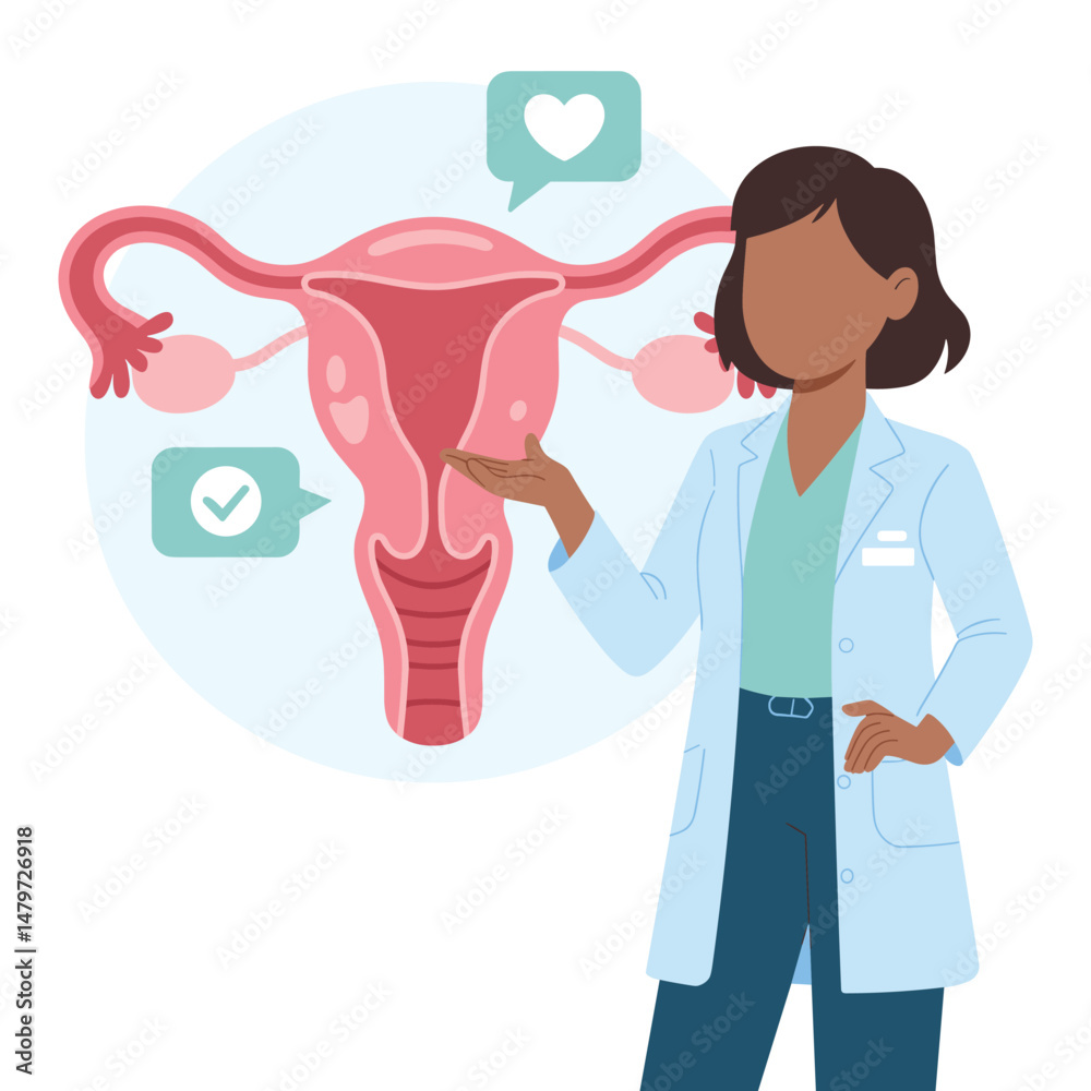 Obraz premium Gynecologist Explaining Female Reproductive System