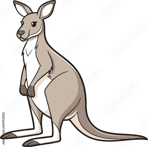 Color kangaroo icon vector illustration image 