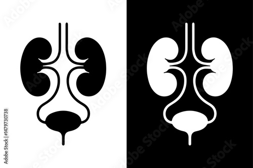 Medical Urinary System Vector Icon Black Silhouette on White Canvas.