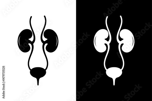 Human Urinary System Icon Flat Black Silhouette on White Background.