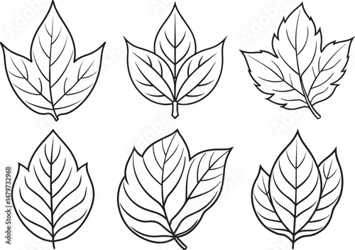 Set of Leaf outline vector illustration line art	