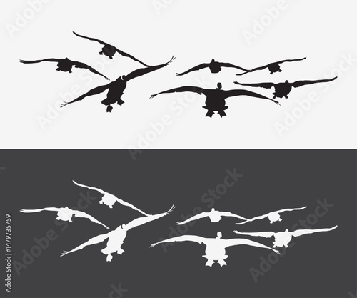 colletion of flying geese silhouette vector illustration art