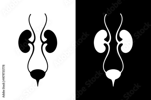 Human Urinary System Silhouette Vector Icon Black and White Medical Design.