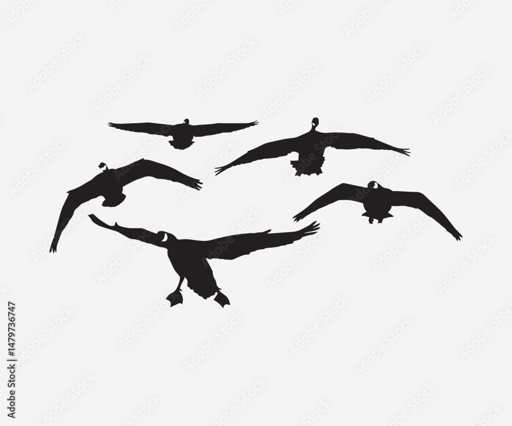 Fototapeta premium colletion of flying geese silhouette vector illustration art