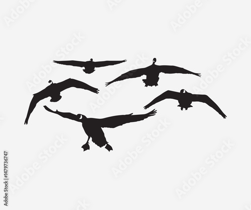 colletion of flying geese silhouette vector illustration art