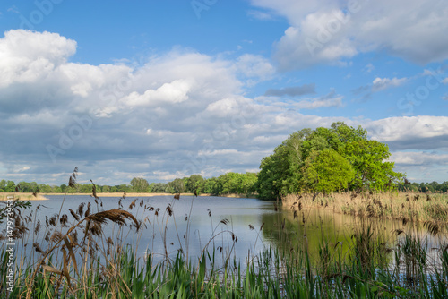 Ponds in Milicz, Lower Silesia, landscape with reflection in water.