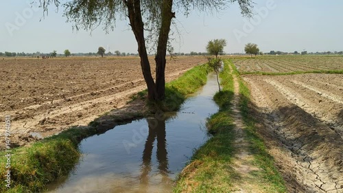 A serene irrigation water flows through cultivated farmland, reflecting the sky and bordered by lush green grass under a bright sun.