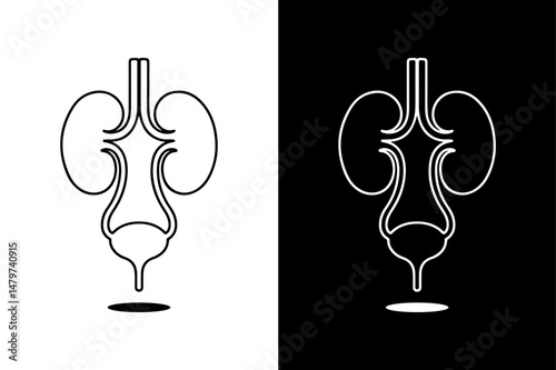 Black and White Urinary System Icon Human Organ Silhouette Vector.
