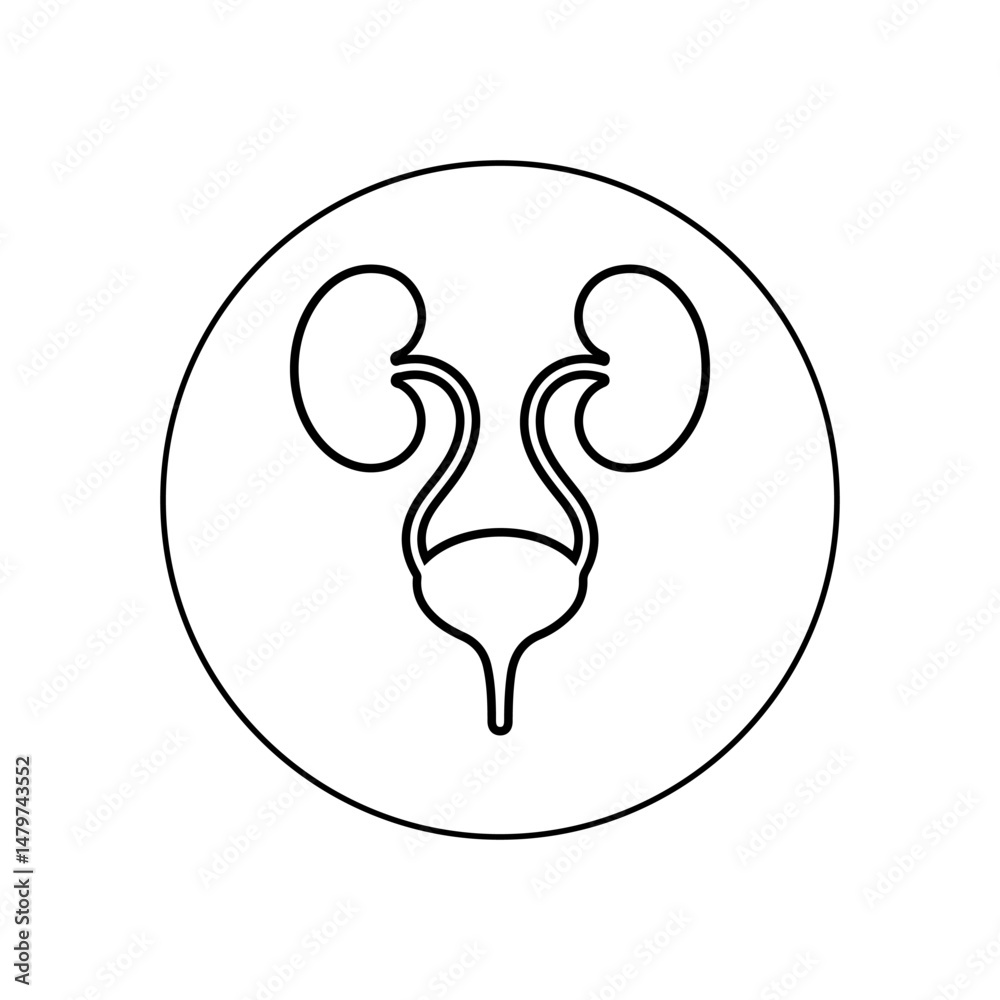 Obraz premium Human Urinary System Silhouette Vector Icon Black and White Medical Design.