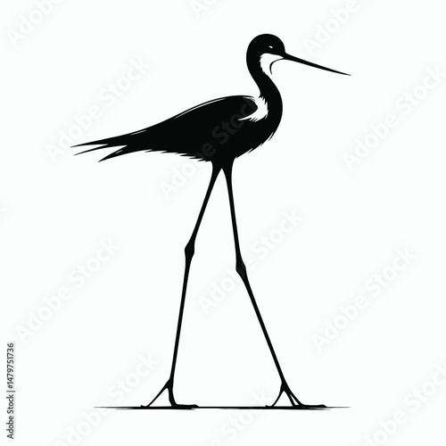 vector silhouette of a black-winged stilt with extremely long legs, standing tall, clean lines, white background 