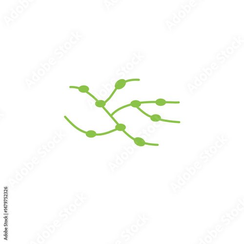 lymph gland vector