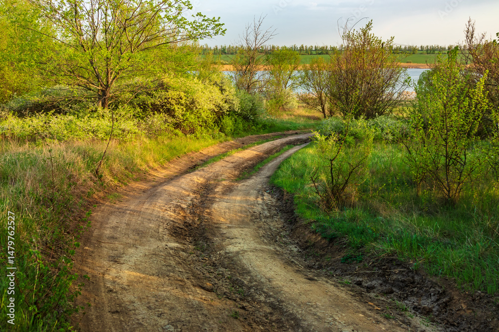 Obraz premium A dirt country road curves in the countryside surrounded by green grass, bushes and trees. Sunny day