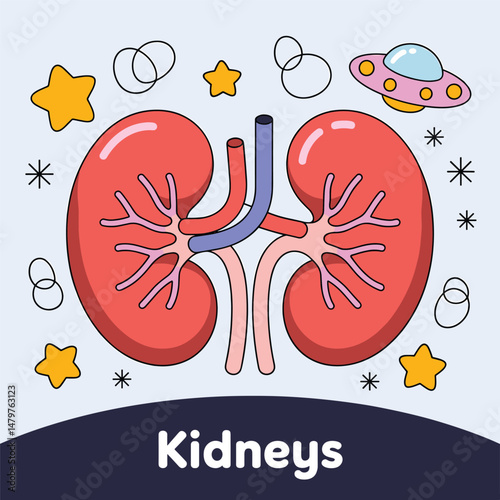 Cartoon Kidneys Illustration for Educational Purposes