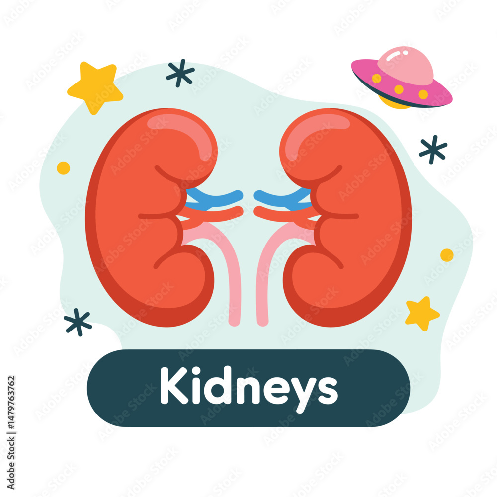 Fototapeta premium Cartoon Kidneys Illustration for Educational Purposes
