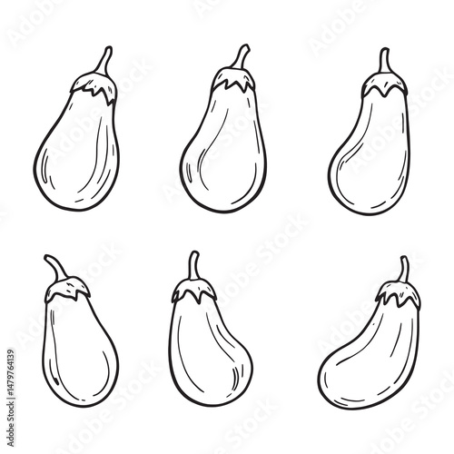 Simple Elegant Line Art Illustration of Fresh Eggplant