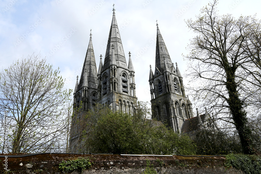 Fototapeta premium Cathédrale Saint Fin Barre à Cork en Irlande