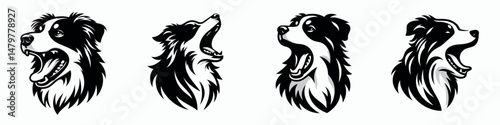 Australian Shepherd Dog. Roar Fierce Aggressive Strong Open Mouth Strength Clipart silhouette Vector Illustration. Aussie herder canine an intelligent companion medium breed guide farm.