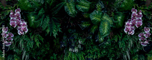 Group background of dark green tropical leaves. Green leaves pattern background. Green leaf texture,