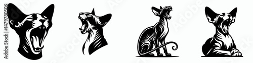 Sphynx Cat. Roar Fierce Aggressive Strong Open Mouth Strength Clipart silhouette Vector Illustration. Hairless feline breed obtaining a domestic pedigree breed companion.